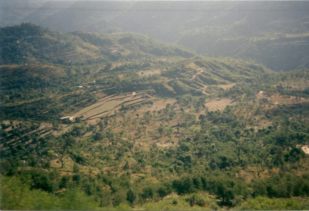 India travel writing. Just outside Dharamsala. Looking from the bus down hundreds of feet into the valley below. In its basin plantation steps. 